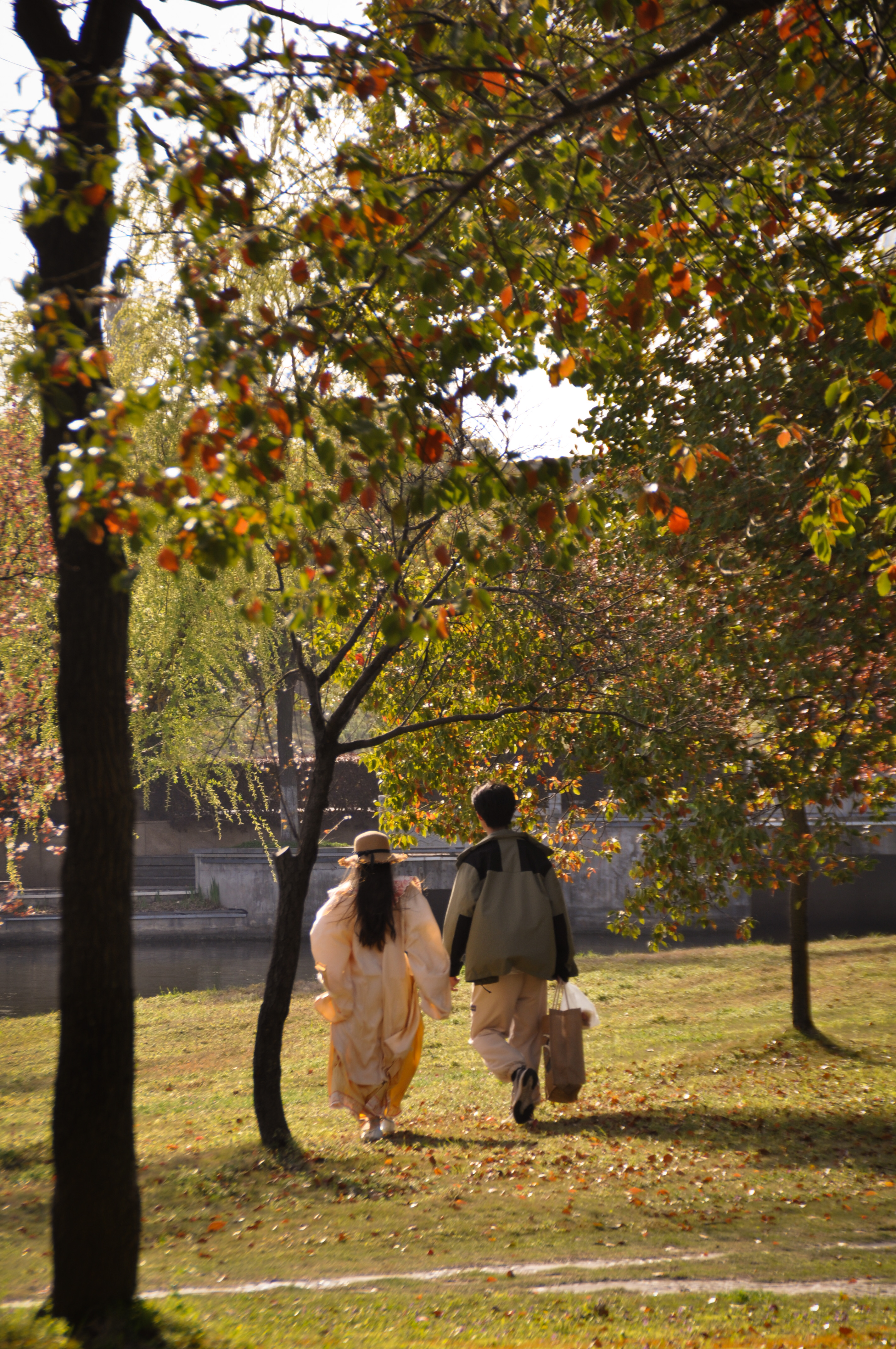 从樱花树走向河岸旁