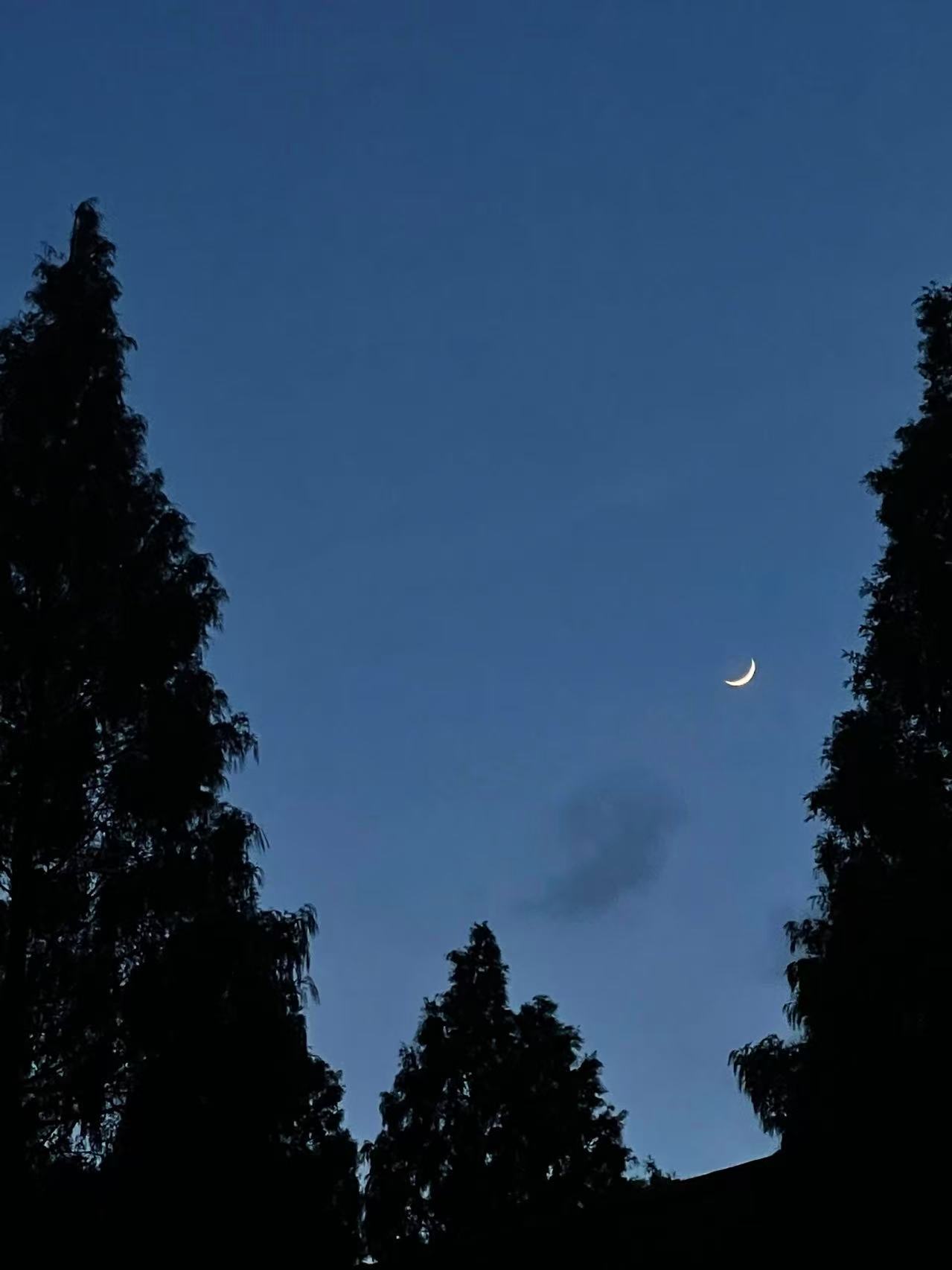 蓝调的月牙-iPhone12Pro