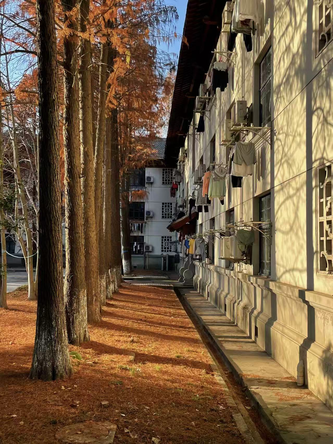 西南一旁秋天的颜色-iPhone12Pro